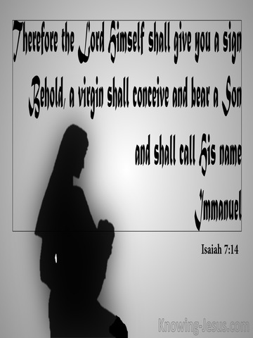 Isaiah 7:14 Behold A Virgin Shall Conceive (gray)